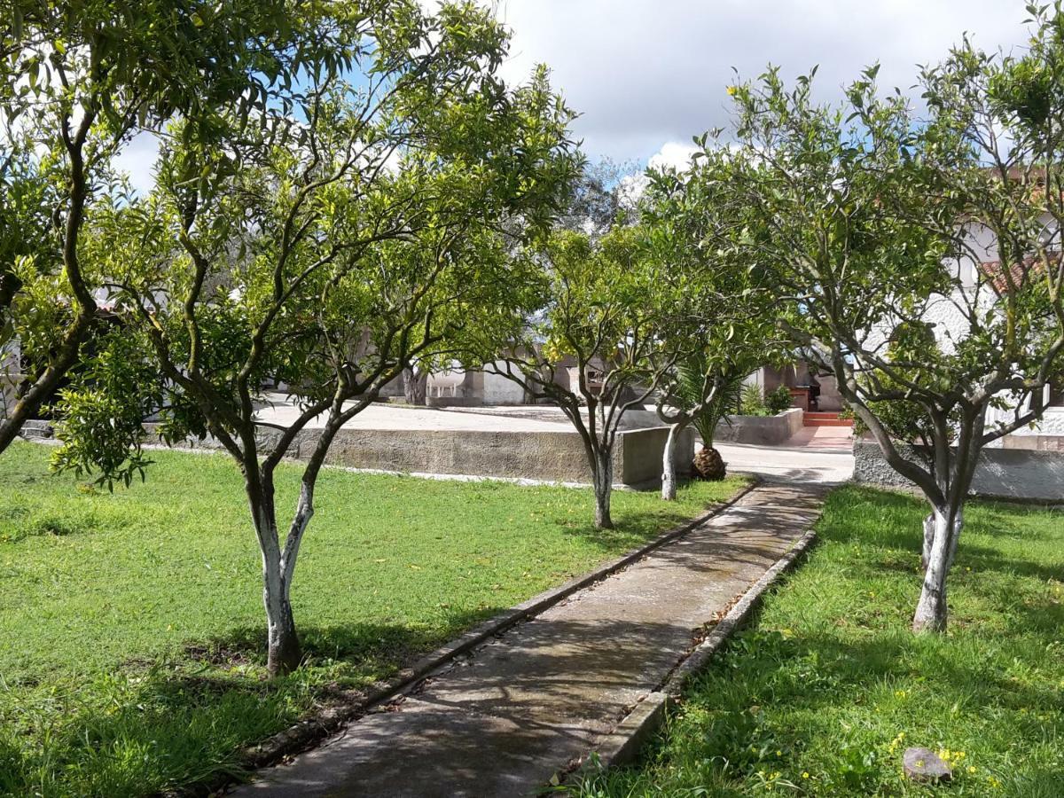 B&B I 4 Venti Sassari Ngoại thất bức ảnh
